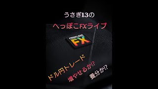 ちょっぱーうさぎ１３のFX　BAR