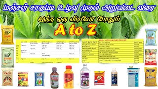 மஞ்சள் வளர்ப்பது எப்படி A to Z | Manjal valarppu | Turmeric Cultivation in Tamil