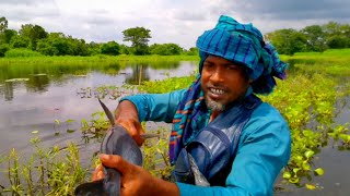 ছিপ দিয়ে ধরলাম