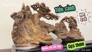 Tiểu Cảnh Hơn 5 Củ Nhiều Chi Tiết Đẹp Cực Thơm | Phúc Gỗ