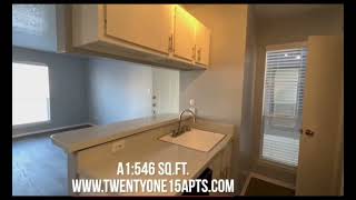 A1 Floor-plan 546 SFT