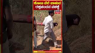 Hoskote | ಕೋಟಿ ಬೆಲೆ ಬಾಳುವ ರಕ್ತಚಂದನದ ತುಂಡುಗಳು ವಶಕ್ಕೆ | N18S