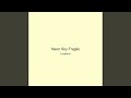 Neon Sky Fragile