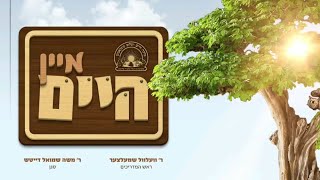 Machna Chaim Veshulem Munkatch Official Camp Song 2019 | מחנה חיים ושלום מונקאטש