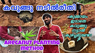 കവുങ്ങു നടീൽരീതി | How to plant an arecanut | കുമ്മായം ഇടത്തെ കവുങ്ങു നട്ടാൽ കുഴപ്പമുണ്ടോ |