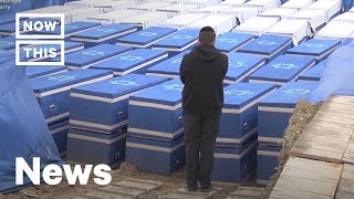 Mass Grave of Holocaust Victims Found at Construction Site | NowThis