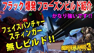 Borderlands3【ボーダーランズ3】フラック オススメビルド‼【爆発フローズンビルド紹介】フェイスパンチャーとスティンガー無しでかなり強いです‼part203