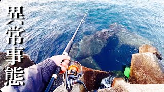 大物が湧き過ぎてもう限界です！！！！