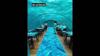 Very Beautiful Underwater Restaurant In Maldives