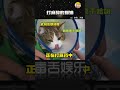 秒睡猫咪~舌头伸出来的那一下真的好好笑 猫猫 可爱到爆炸 shorts