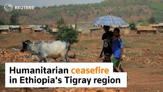 Ethiopia declares truce to allow aid into Tigray