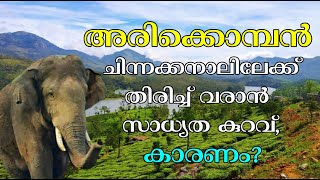 Arikomban | അരിക്കൊമ്പൻ ചിന്നക്കനാലിലേക്ക് തിരിച്ച് വരാൻ സാധ്യത കുറവ് | #arikomban