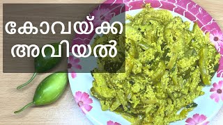 കോവയ്ക്ക അവിയൽ (Kovakka Avial Recipe in Malayalam)