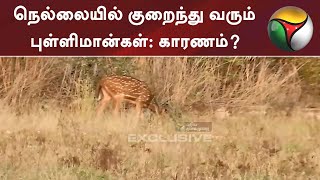 நெல்லையில் குறைந்து வரும் புள்ளிமான்கள்: காரணம்? | Nellai | Deers