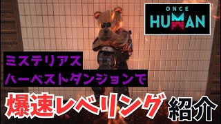 今だからできるイベント「ミステリアスハーベストダンジョン」を利用した爆速レベリング方法の紹介 - OnceHuman(ワンスヒューマン)