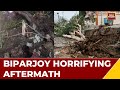 Cyclone Biparjoy Aftermath Ground Report: Trees Uprooted By Strong Winds, Property Damaged