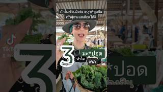 3ประโยชน์ของเคลกับมะเร็งปอด​ #มะเร็ง #มะเร็งปอด #ผักเคล #เคล็ดลับสุขภาพ #ปอด