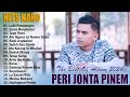 Peri Jonta Full Album Terbaik 2024 - Lagu Karo Terbaru 2024 - Viral Di TikTok