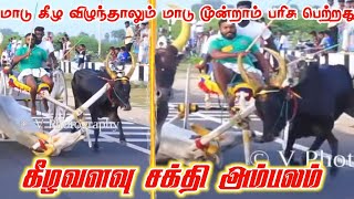 ||மதுரை மாவட்டம் கீழவளவு சக்தி அம்பலம்||நரசிங்கம்பட்டி திருஞானம்||கொட்டகுடி அஜித்||