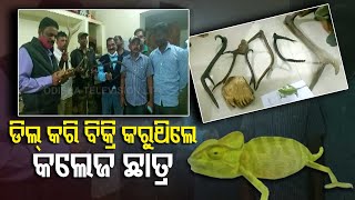 Elephant Tusk, Deer Horns Seized In Jajpur, 2 Arrested