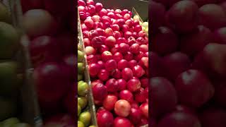 Australia's green skin plum. Sweet and good flavor! Must get! #shorts #shortvideo #plum