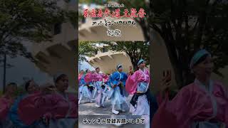 原宿表参道元氣祭スーパーよさこい 2024　妃龍　撮影日:2024/08/24