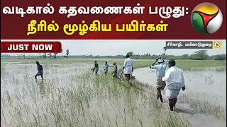 வடிகால் கதவணைகள் பழுது: நீரில் மூழ்கிய பயிர்கள்