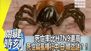 死亡率比H7N9還高 死亡扁虱橫行中.日.韓之謎？！2013年第1566集-2200 關鍵時刻