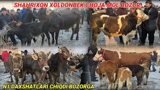 SHAXRIXON XOLDONBEK CHOJA MOL BOZORI 17.12.2024 Daxshatlari chiqdi Narxlari yana O'zgardi