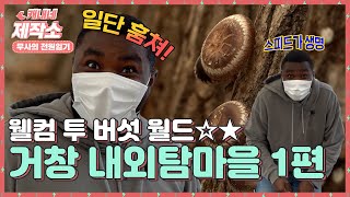 🍄나 홀로 집... 아니! 나 홀로 버섯월드🍄(Feat. 스피드가 생명) 거창 내외탐마을 1편