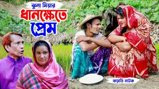 ঝুনা মিয়ার ধানক্ষেতে প্রেম । ctg new natok | ctg natok |