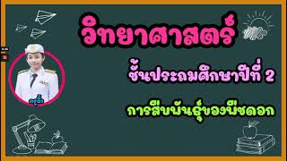 ป.2 วิชาวิทยาศาสตร์ เรื่อง การสืบพันธุ์ของพืชดอก