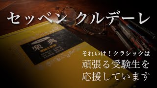 【音大の入学試験とは】セッベンクルデーレ【がんばれ受験生！】