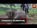 Video Of Dramatic Rescue Of Baby Elephant & Mother From Manhole In Thailand; CPR Administered