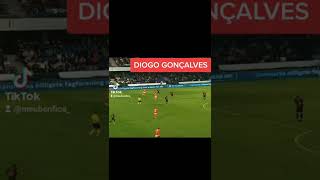 GOLAÇO DE DIOGO GONÇALVES NO MIDTJYLLAND VS SL BENFICA 🔥🔥🔥