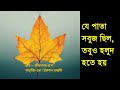 যে পাতা সবুজ ছিল তবুও হলুদ হতে হয় কবি জীবনানন্দ দাশ jibonanada das