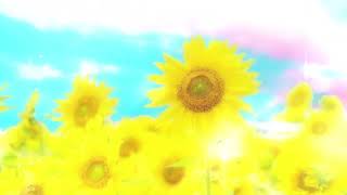 [背景フリー素材』ひまわり🌻