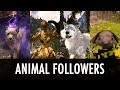 Skyrim Mod: Animal Followers Multi-Spotlight Skyrim Mod: Animal Followers Multi-Spotlight