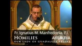 May 20 - Homily: St. Bernardine of Siena