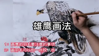 国画教程——雄鹰画法，详细讲解雄鹰画法羽毛的技巧