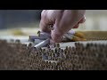 ‘It’s industrialised’: Black-market tobacco trade exposed
