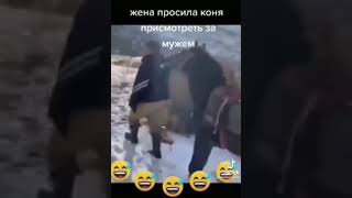 Жена просила коня присмотреть за мужем