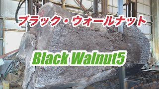 【製材】ブラック・ウォールナットblack walnut5