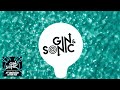 Gin and Sonic Mashup Pack Vol. 25 - 25th Anniversary Edition - 20+ Tracks - Free Download