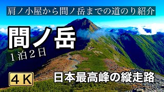 【北岳・間ノ岳】テント泊登山　北岳から間ノ岳までの美しい縦走路【登山初心者】