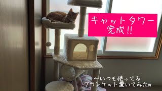 【ねこ】念願のキャットタワー買いました！【購入品】