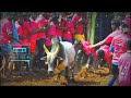 jallikattu status கோபம் காட்டாம பயத்த தருவானே