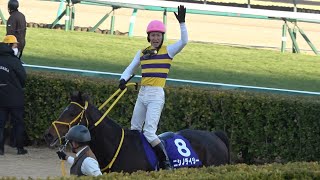 【現地 最後に3頭落馬】2024 J-G1 中山大障害 ニシノデイジー 五十嵐 雄祐【中山競馬場】