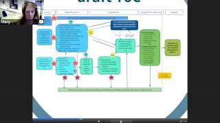 Developing a project level Theory of Change