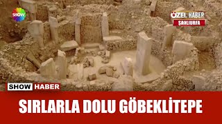 Tarihin sıfır noktası: Göbeklitepe